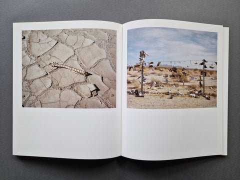 A Poor Sort of Memory - Setanta Books