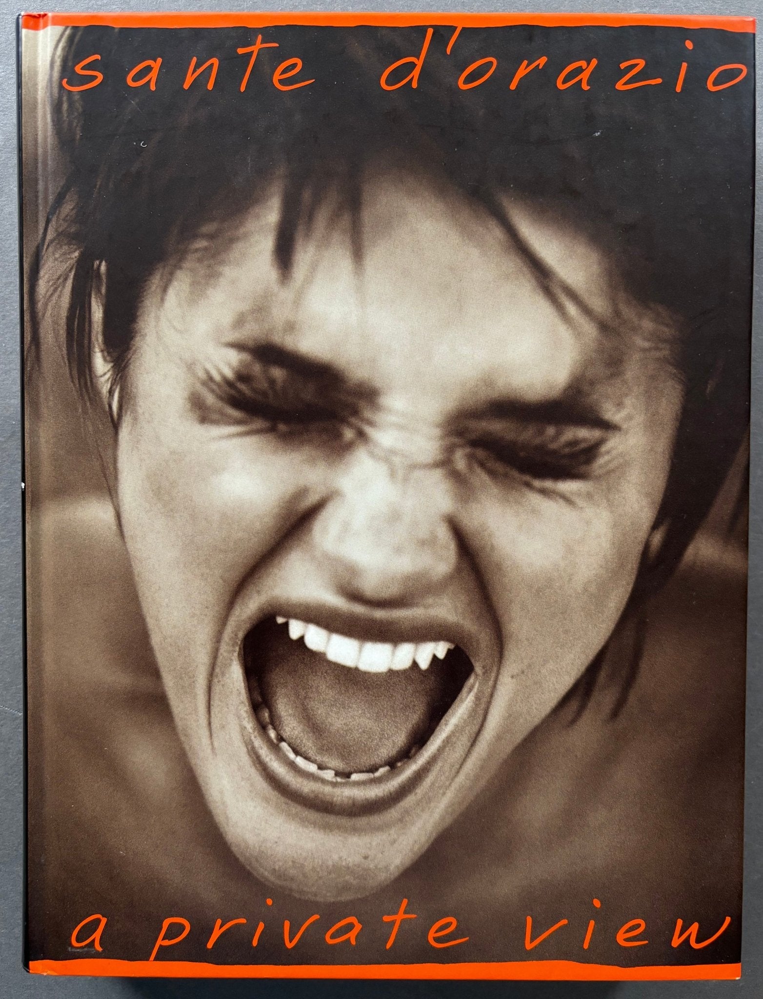 Sante D’orazio 写真集 a private view Sante D'Orazio A Private View: Photographs and Diary: Sante D