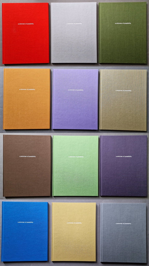 A Shimmer of Possibility (1st) - Setanta Books