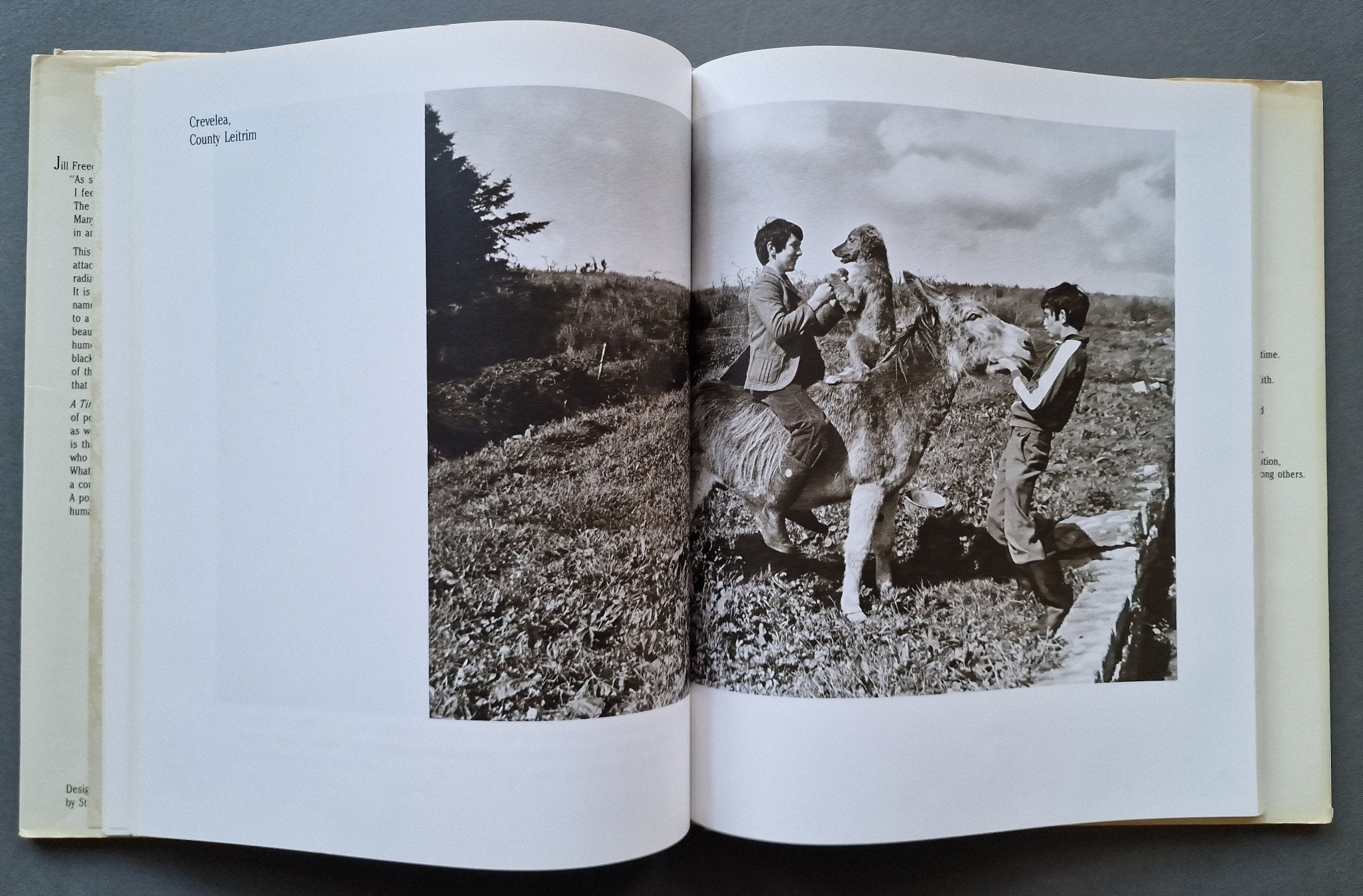 Buy A Time That Was by Jill Freedman Online – Setanta Books