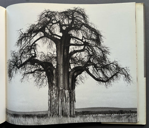 Africa - Setanta Books