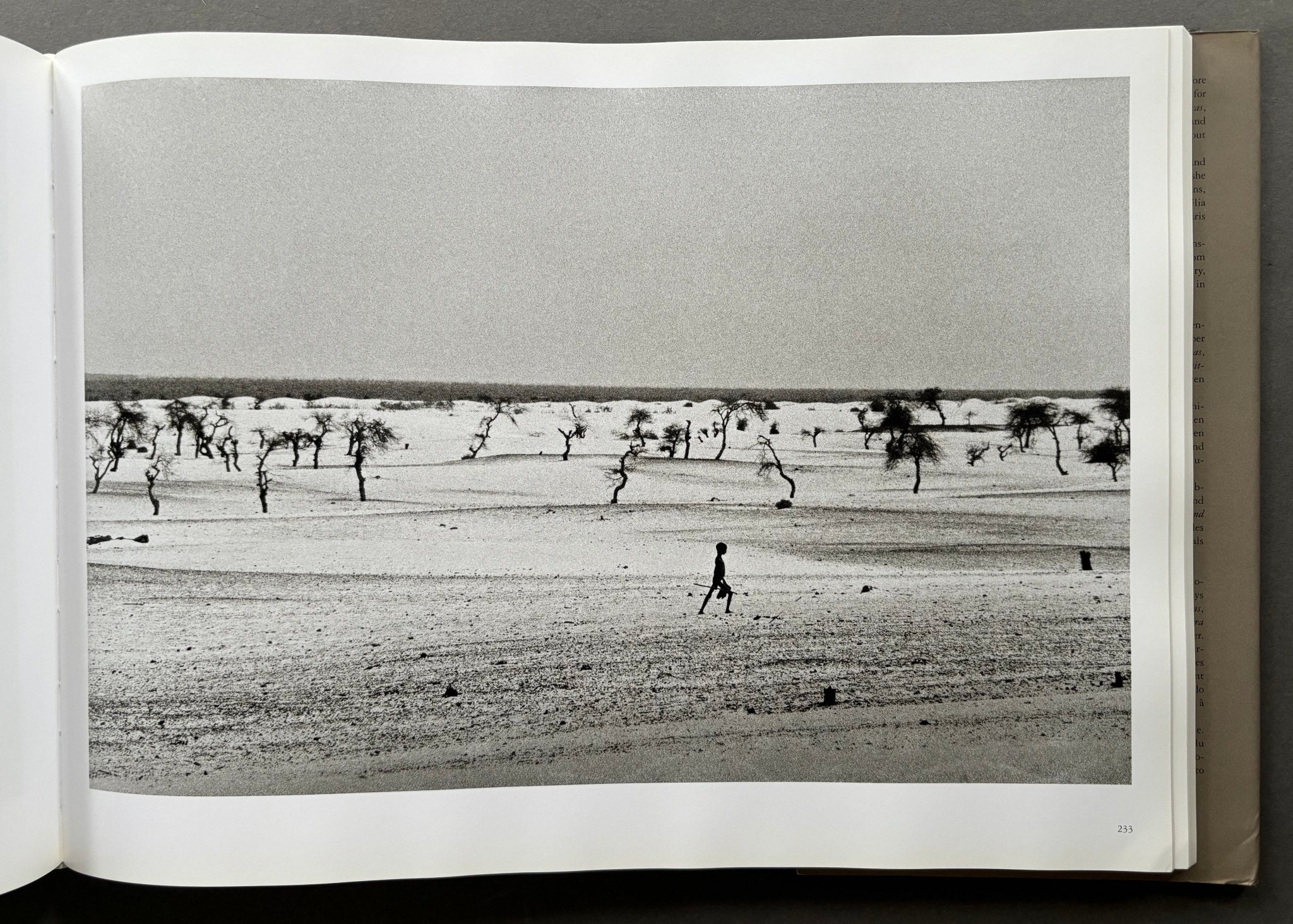 Africa by Sebastiao Salgado | Photobooks | Setanta Books | Photography