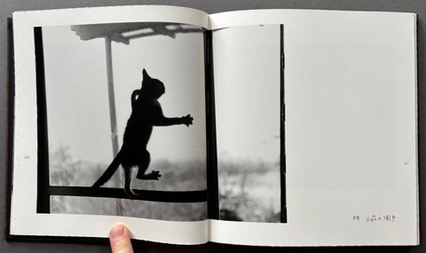 Afterword - Setanta Books