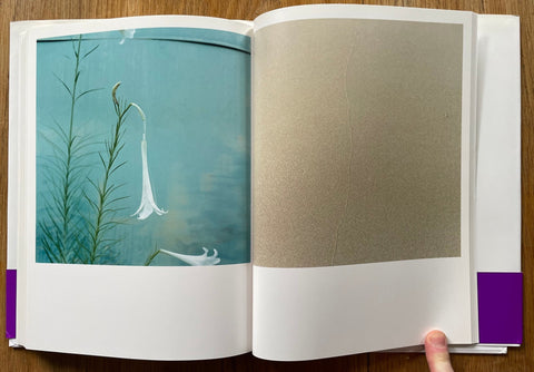 Aila - Setanta Books