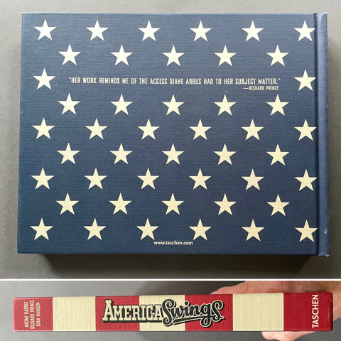 America Swings - Setanta Books