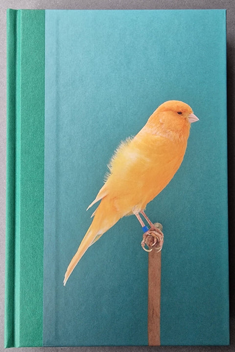 An Incomplete Dictionary of Show Birds .Vol 2 (2 Cover Options) - Setanta Books