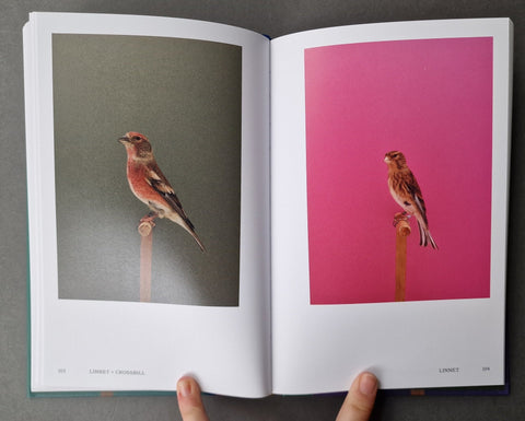 An Incomplete Dictionary of Show Birds .Vol 2 (2 Cover Options) - Setanta Books
