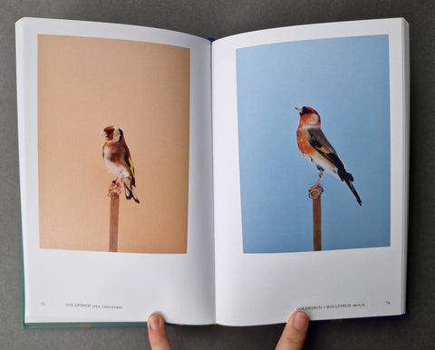 An Incomplete Dictionary of Show Birds .Vol 2 (2 Cover Options) - Setanta Books
