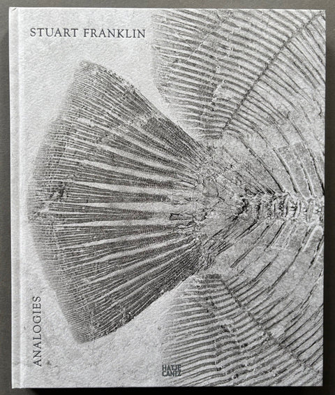 Analogies - Setanta Books