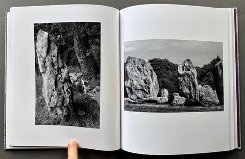 Analogies - Setanta Books