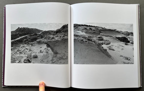 Analogies - Setanta Books