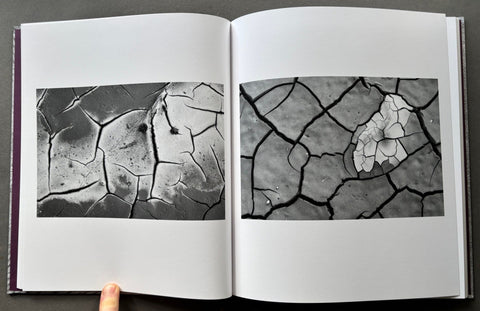 Analogies - Setanta Books