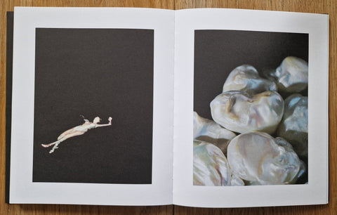 Anatomy of an Oyster - Setanta Books