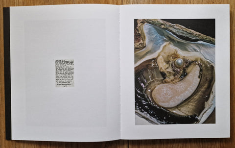 Anatomy of an Oyster - Setanta Books