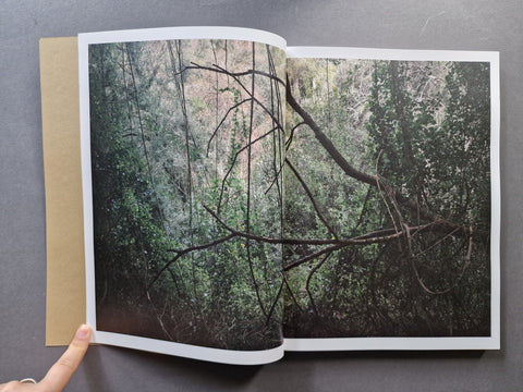 And Into The Forest I Go - Setanta Books