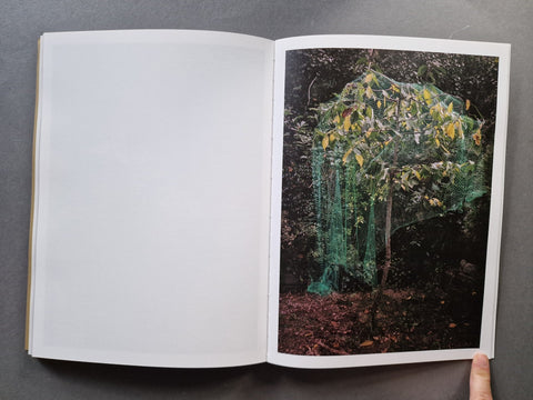 And Into The Forest I Go - Setanta Books