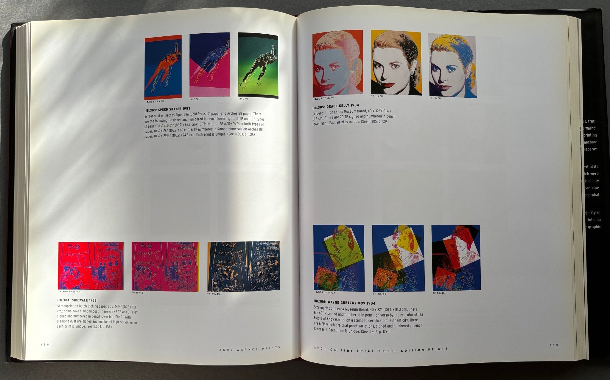 Buy Andy Warhol Prints - A Catalogue Raisonne 1962 -1987 online
