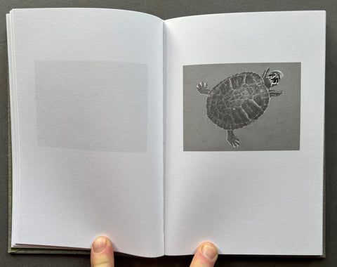 Another Language - Setanta Books
