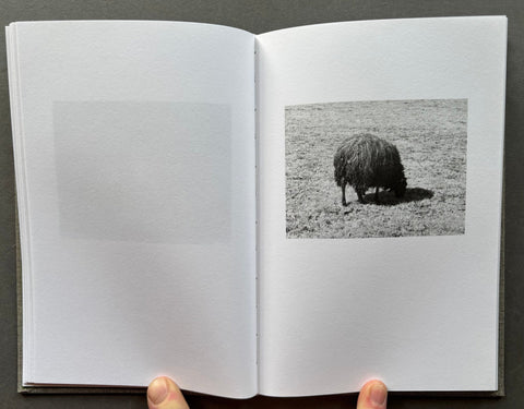 Another Language - Setanta Books