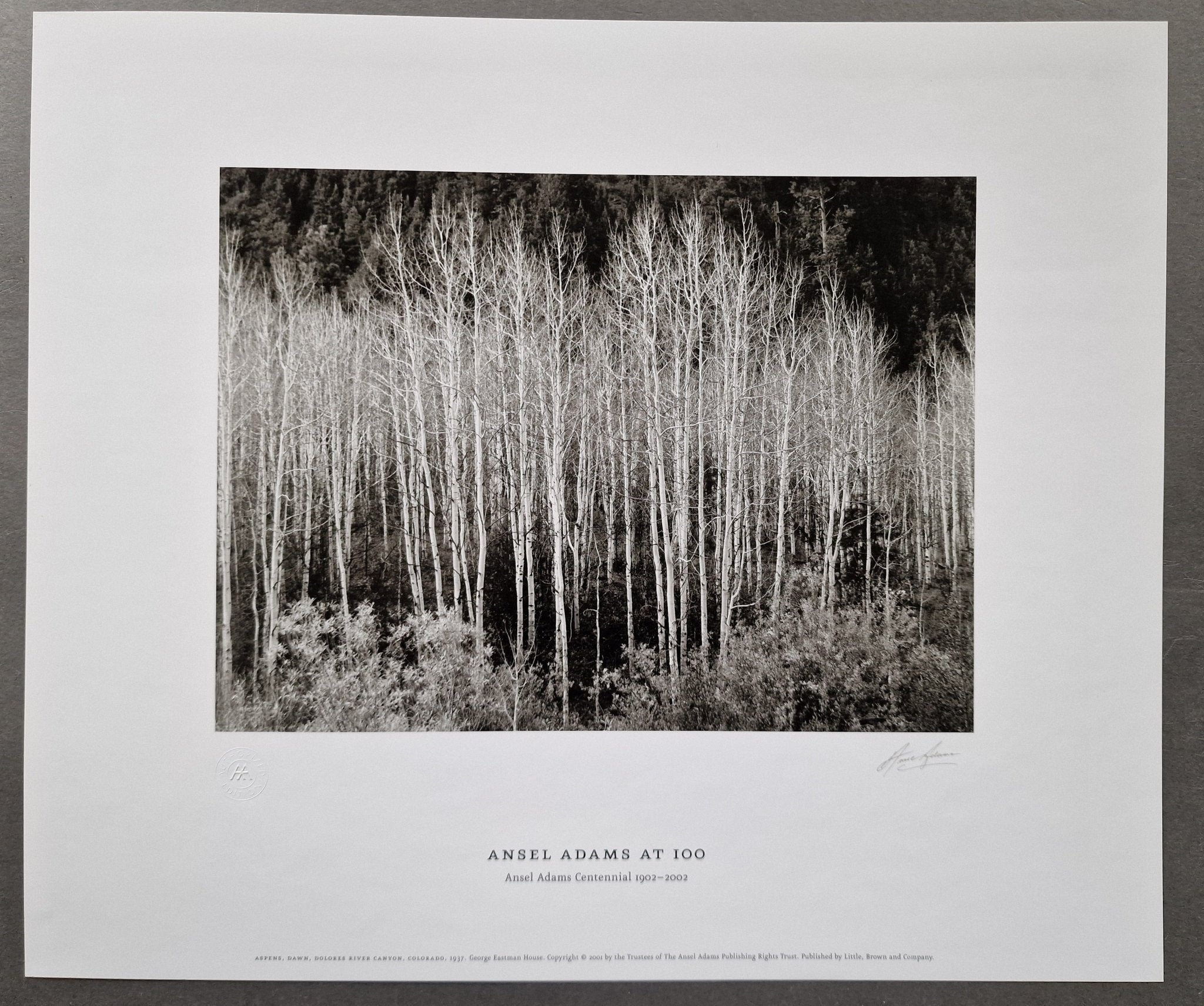 Buy Ansel Adams At 100 Online – Setanta Books
