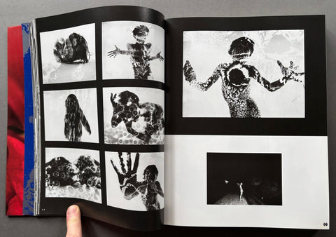 Araki By Araki: The Photographer's Personal Selection - Setanta Books