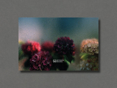 Arcadia - Setanta Books