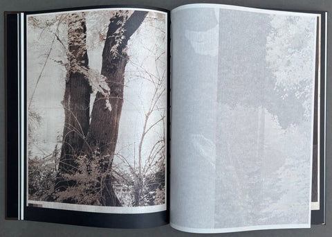 As the Twig is Bent, So Grows the Tree - Setanta Books