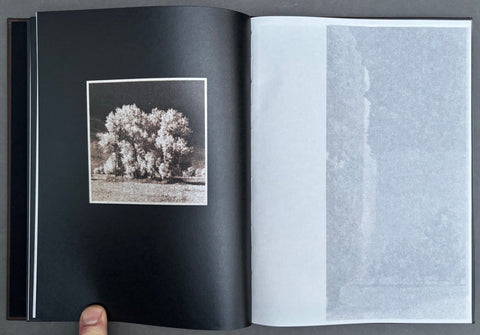 As the Twig is Bent, So Grows the Tree - Setanta Books