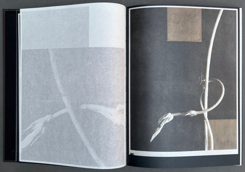 As the Twig is Bent, So Grows the Tree - Setanta Books