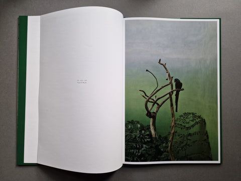 Aves Mei (Special slipcased edition with print) - Setanta Books
