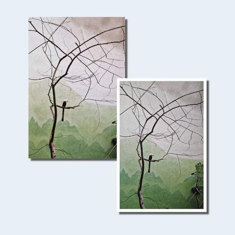 Aves Mei (Special slipcased edition with print) - Setanta Books