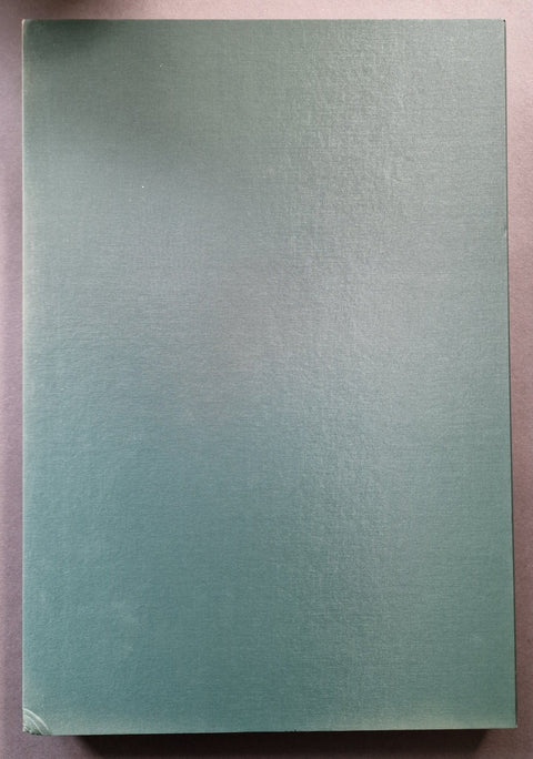 Aves Mei (Special slipcased edition with print) - Setanta Books