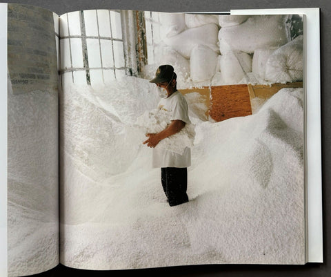 Barrio: Photographs from Chicago's Pilsen and Little Village - Setanta Books