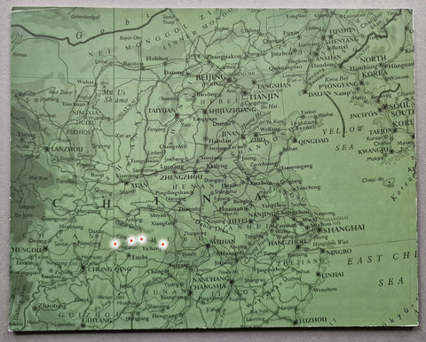 Before The Flood - Setanta Books