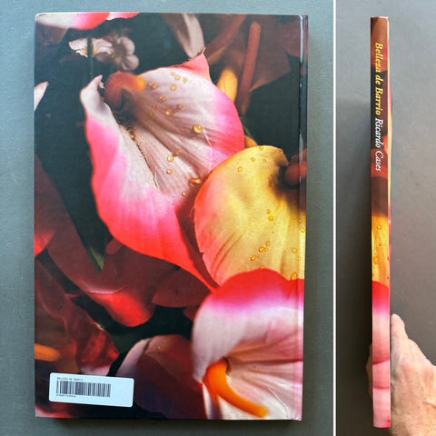 Belleza de Barrio - Setanta Books