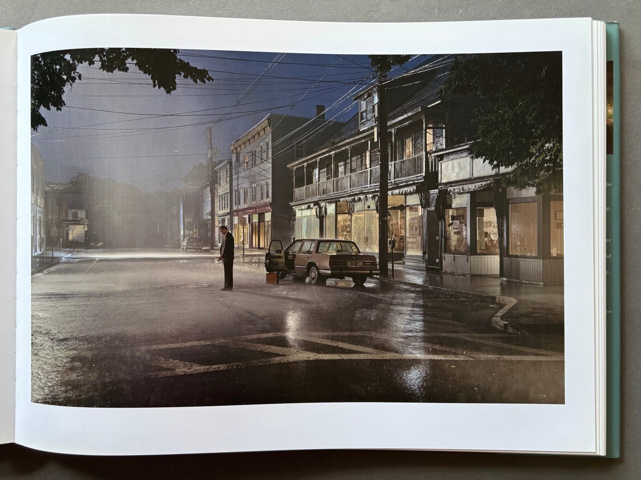 Buy Beneath the Roses by Gregory Crewdson Online – Setanta Books