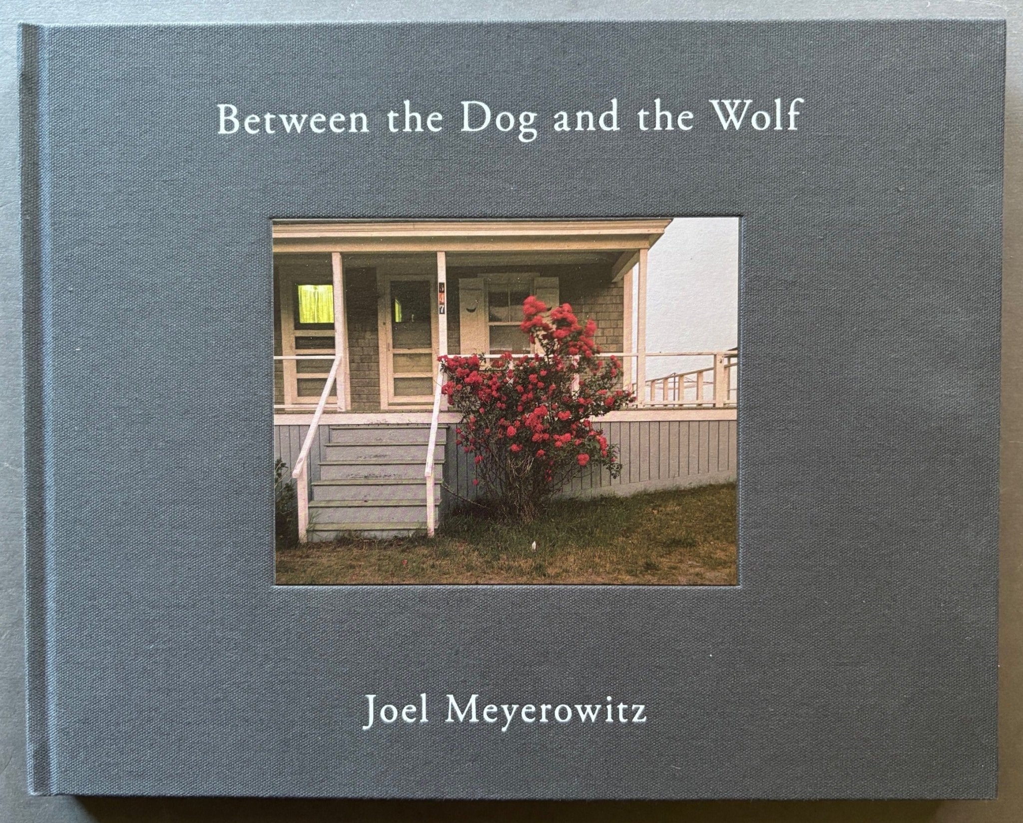 Buy Between the Dog and the Wolf by Joel Meyerowitz – Setanta Books