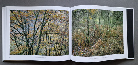 Beyond Landscape - Setanta Books