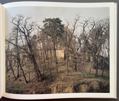 Beyond the Forest - Setanta Books
