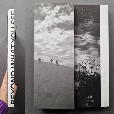 Beyond What You See - Setanta Books