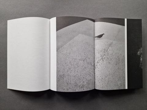 Beyond What You See - Setanta Books