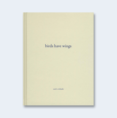 Birds Have Wings (One Picture Book) - Setanta Books