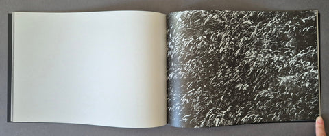 Black Wind - Setanta Books