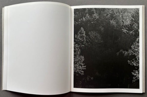 Buy Blanco by Awoiska van der Molen – Setanta Books