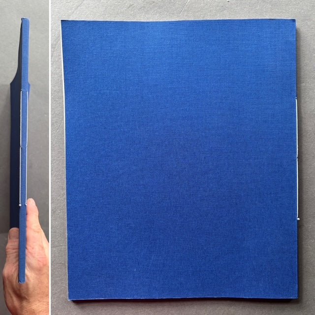 Buy Blanco by Awoiska van der Molen – Setanta Books