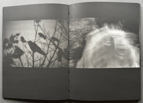 Blank Notes - Setanta Books
