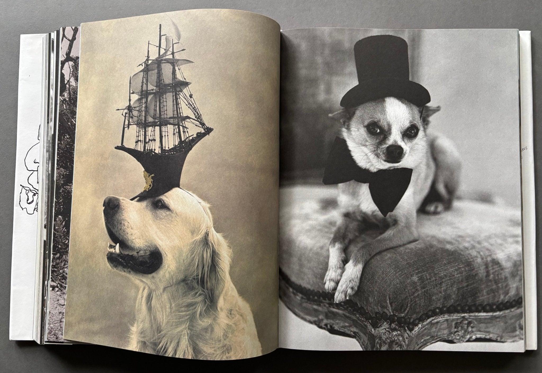 Buy Blood Sweat and Tears by Bruce Weber online – Setanta Books