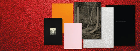 BlowUp Press