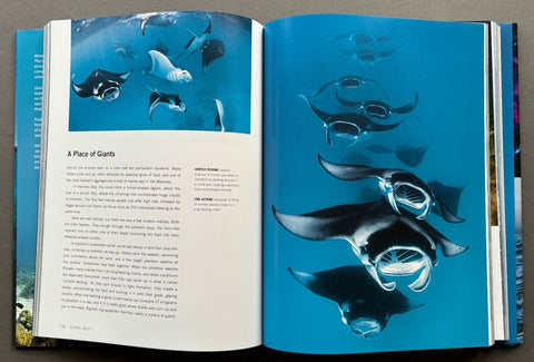 Blue Planet II