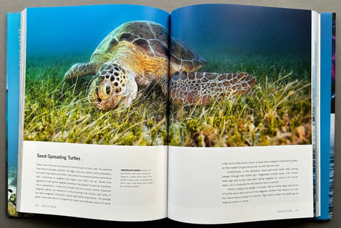 Blue Planet II